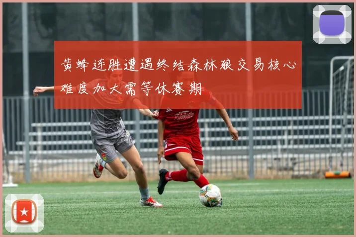 黄蜂连胜遭遇终结森林狼交易核心难度加大需等休赛期